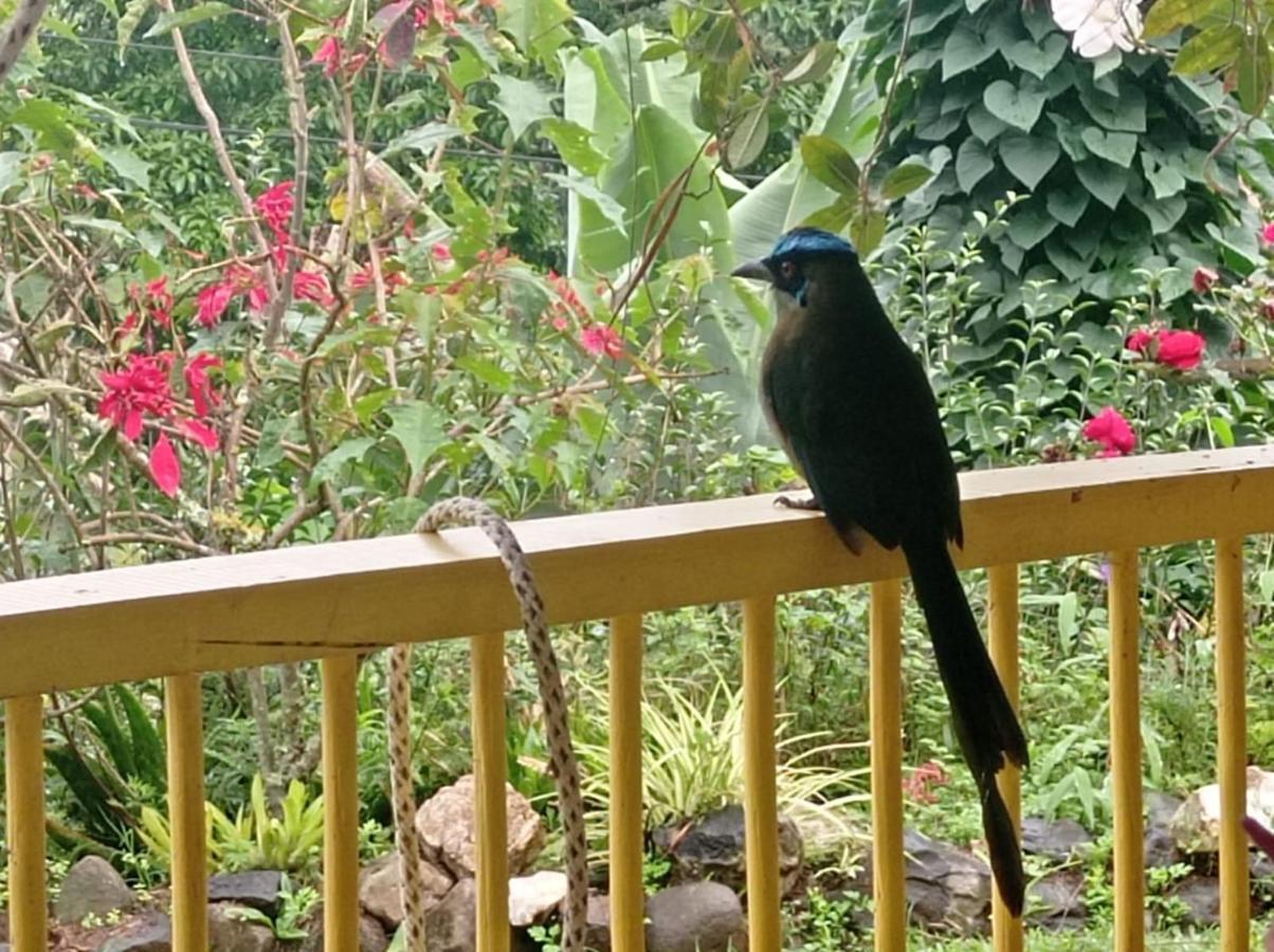 Alojamiento Rural Jardin Consentido Luaran gambar