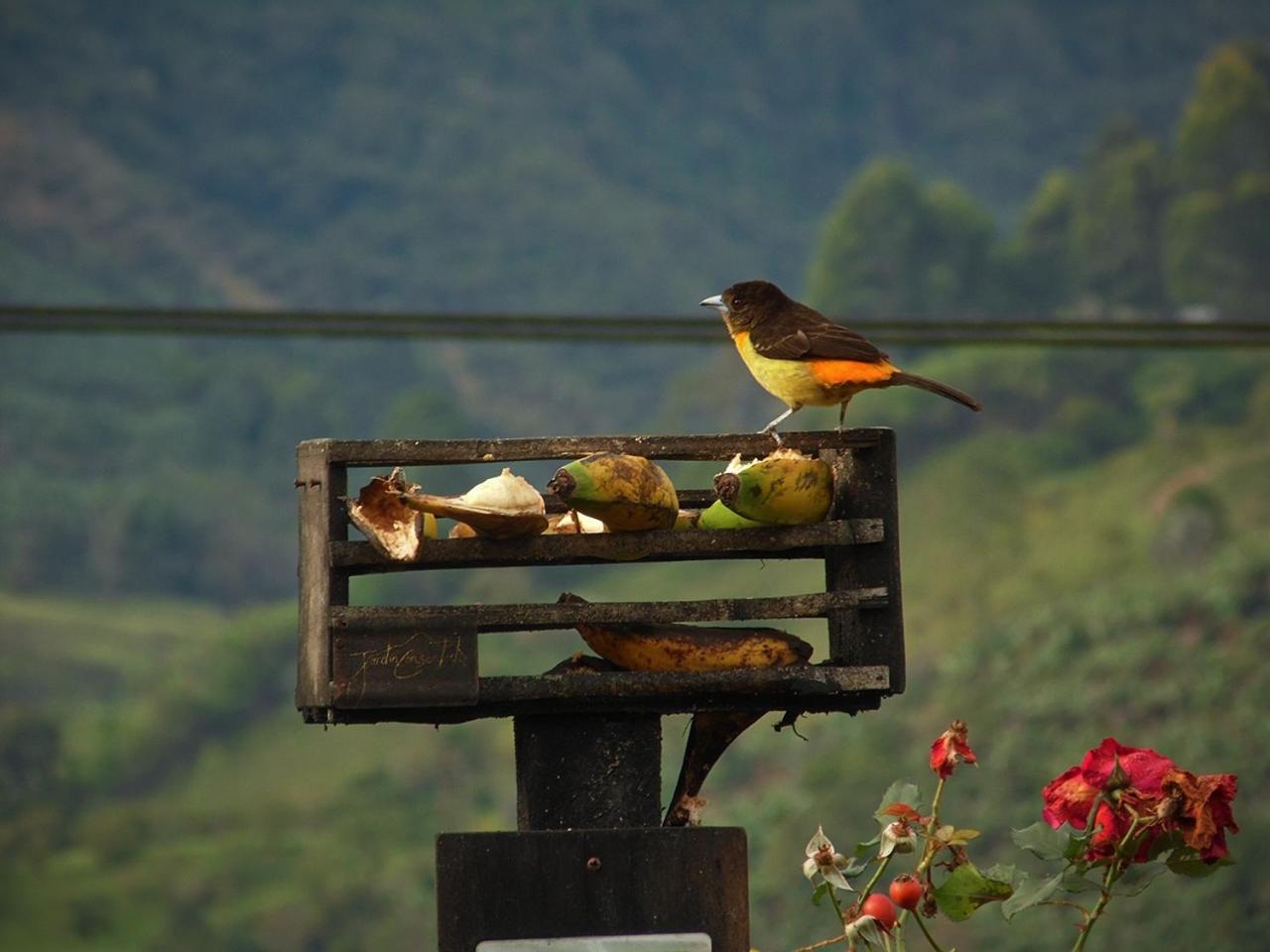 Alojamiento Rural Jardin Consentido Luaran gambar