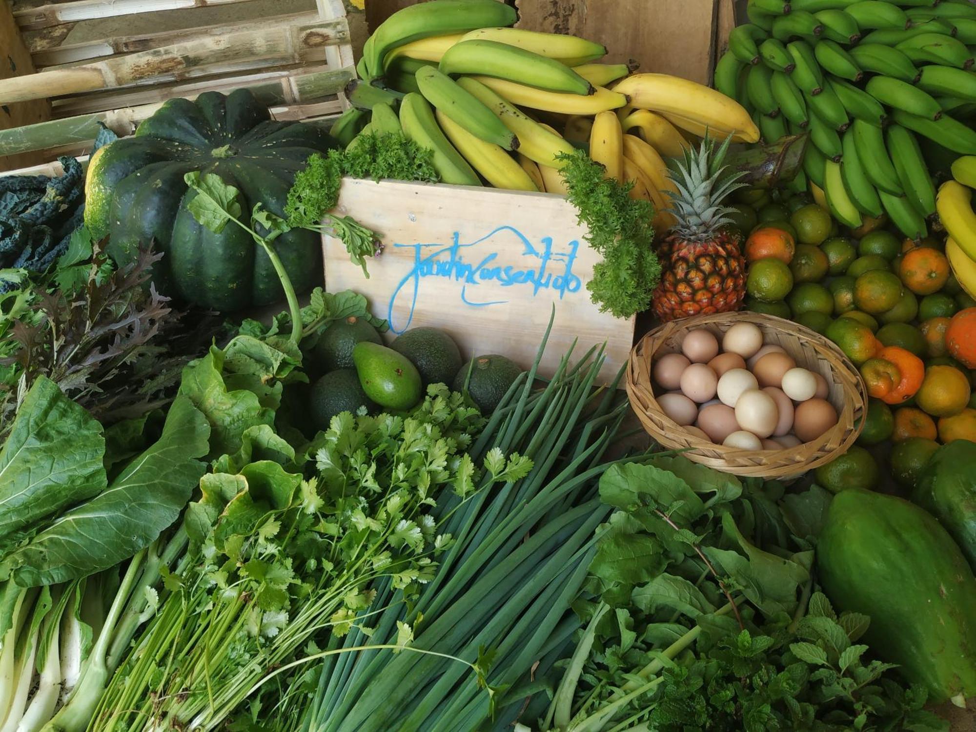 Alojamiento Rural Jardin Consentido Luaran gambar