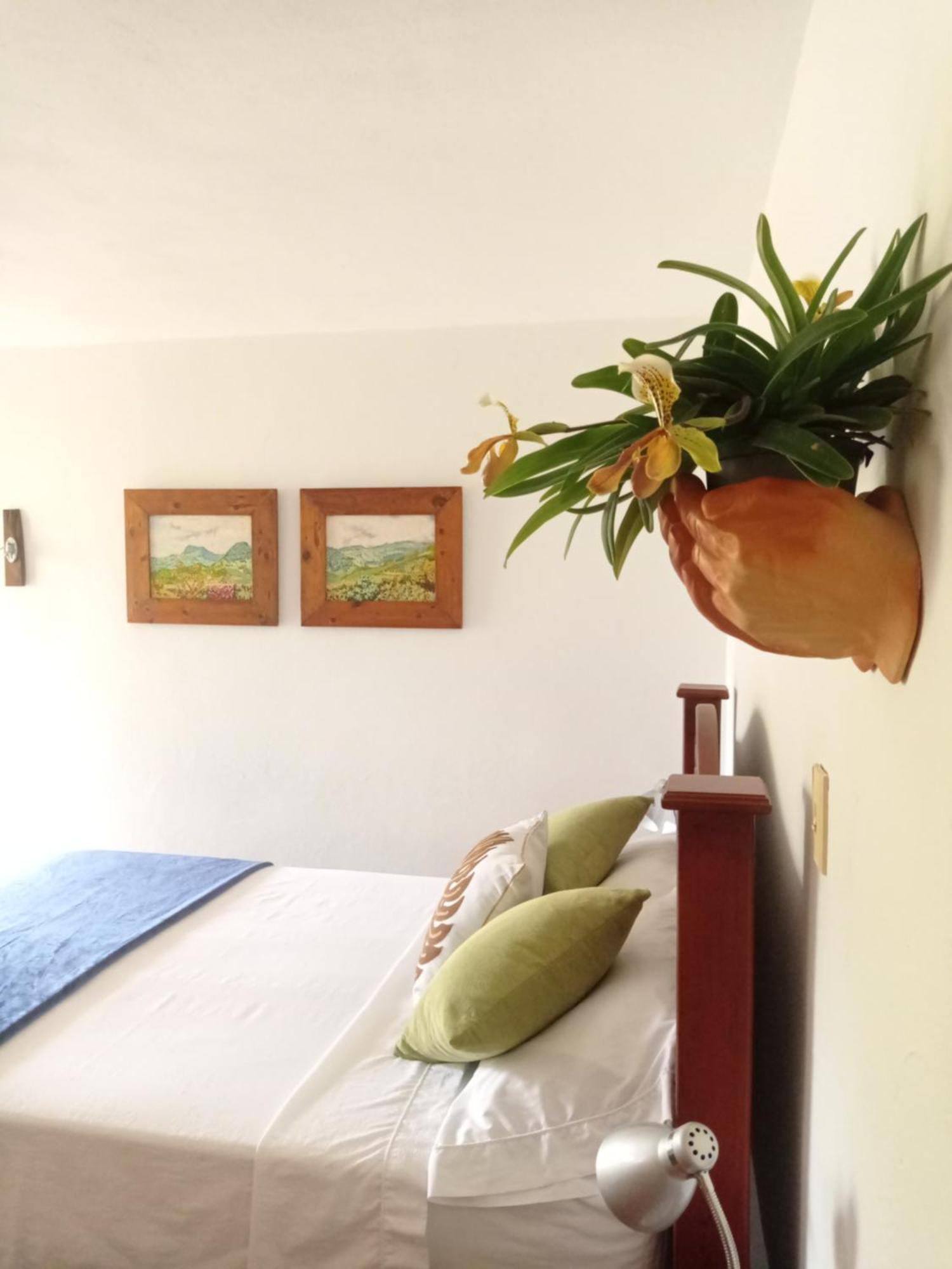 Alojamiento Rural Jardin Consentido Bilik gambar
