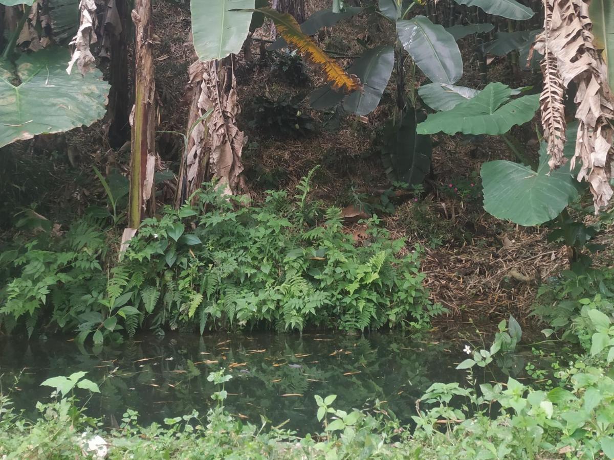 Alojamiento Rural Jardin Consentido Luaran gambar